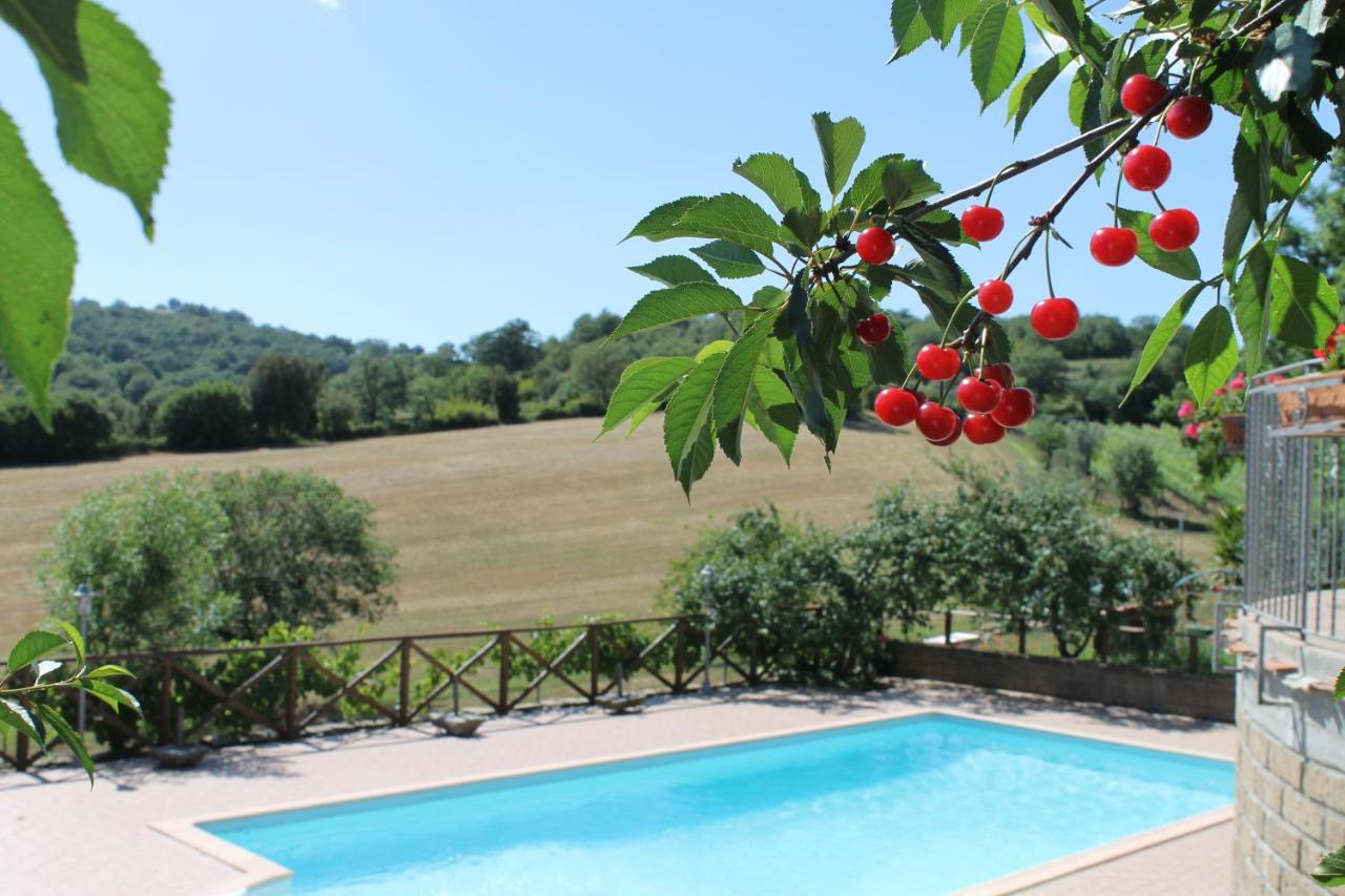 Vila Macchiapiana Scansano Exteriér fotografie